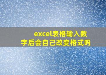 excel表格输入数字后会自己改变格式吗