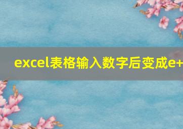 excel表格输入数字后变成e+