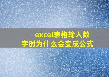 excel表格输入数字时为什么会变成公式