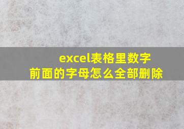 excel表格里数字前面的字母怎么全部删除