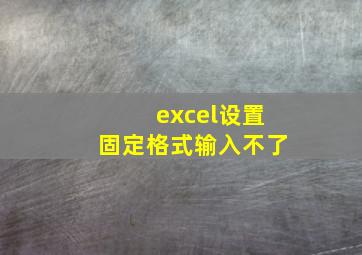 excel设置固定格式输入不了