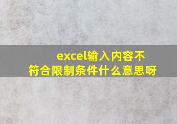 excel输入内容不符合限制条件什么意思呀