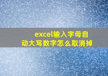 excel输入字母自动大写数字怎么取消掉