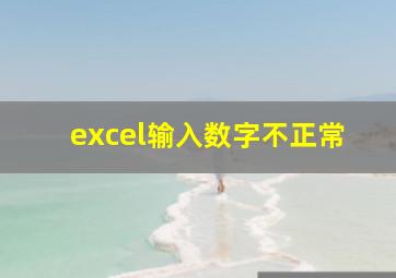 excel输入数字不正常