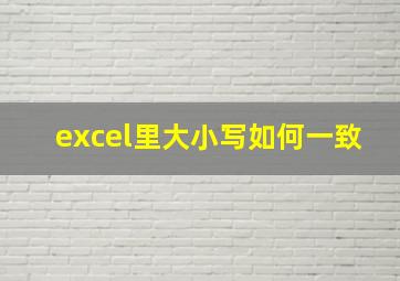 excel里大小写如何一致