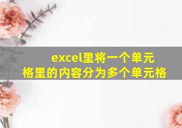 excel里将一个单元格里的内容分为多个单元格