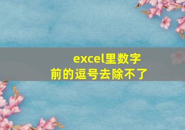 excel里数字前的逗号去除不了