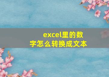 excel里的数字怎么转换成文本