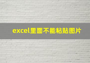 excel里面不能粘贴图片