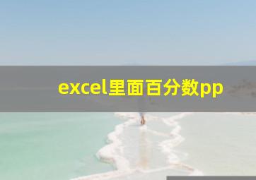 excel里面百分数pp