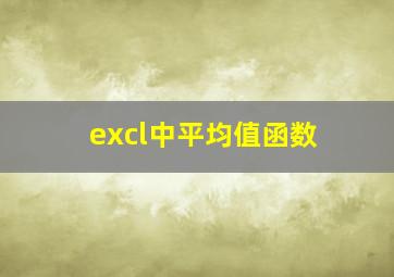 excl中平均值函数