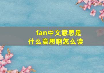 fan中文意思是什么意思啊怎么读