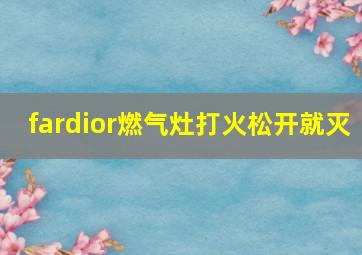 fardior燃气灶打火松开就灭