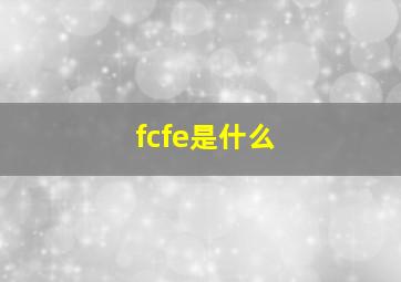 fcfe是什么