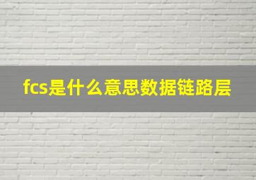 fcs是什么意思数据链路层