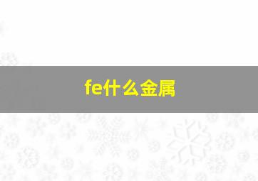 fe什么金属