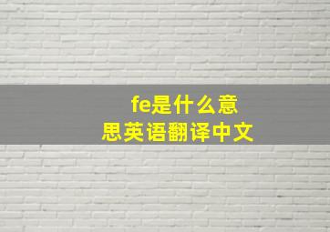 fe是什么意思英语翻译中文