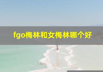 fgo梅林和女梅林哪个好