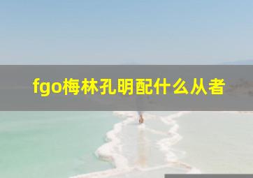 fgo梅林孔明配什么从者