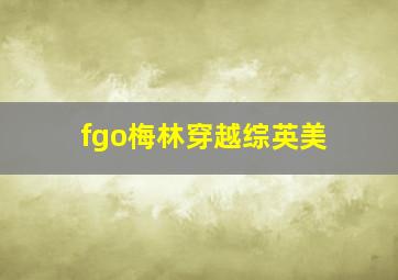 fgo梅林穿越综英美