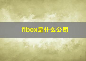 fibox是什么公司