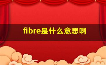 fibre是什么意思啊