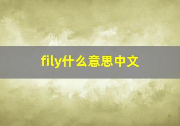 fily什么意思中文