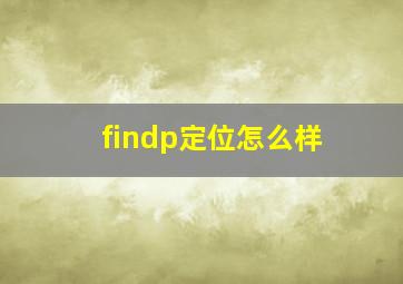 findp定位怎么样