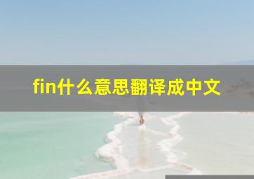 fin什么意思翻译成中文