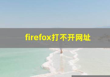 firefox打不开网址