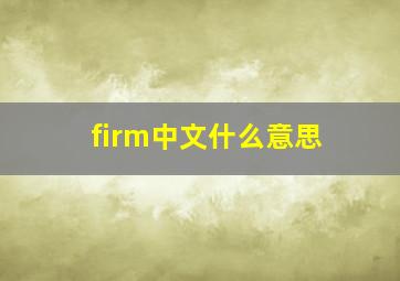 firm中文什么意思