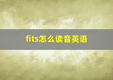 fits怎么读音英语