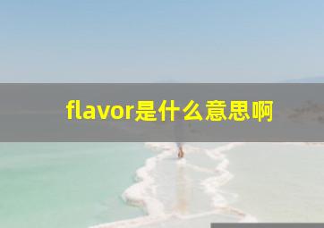 flavor是什么意思啊