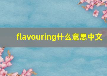 flavouring什么意思中文