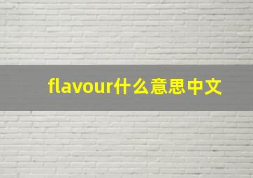 flavour什么意思中文