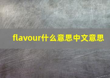 flavour什么意思中文意思