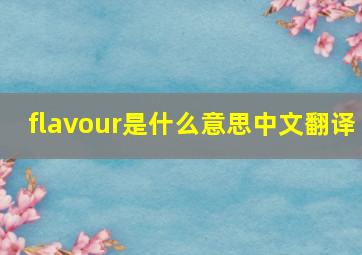 flavour是什么意思中文翻译