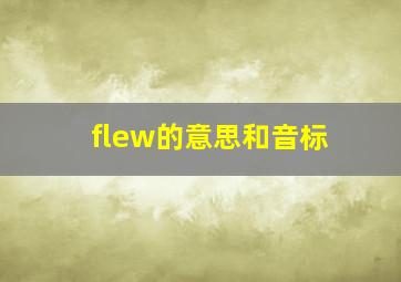 flew的意思和音标