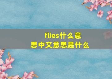 flies什么意思中文意思是什么