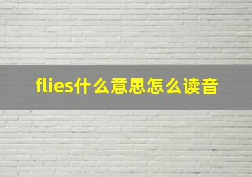 flies什么意思怎么读音