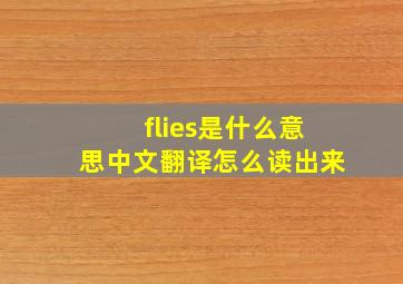 flies是什么意思中文翻译怎么读出来