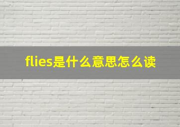 flies是什么意思怎么读