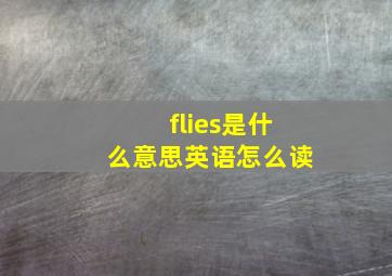 flies是什么意思英语怎么读