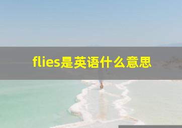 flies是英语什么意思