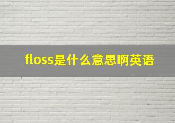 floss是什么意思啊英语