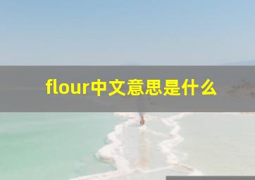 flour中文意思是什么