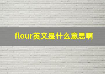 flour英文是什么意思啊