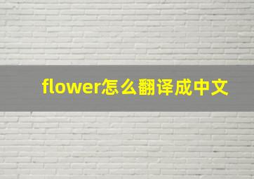 flower怎么翻译成中文