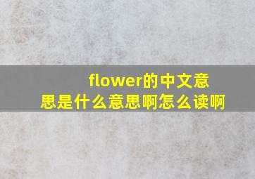 flower的中文意思是什么意思啊怎么读啊