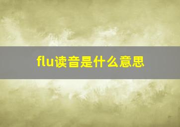 flu读音是什么意思